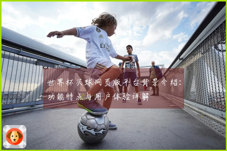 世界杯买球网页版平台背景介绍：功能特点与用户体验详解