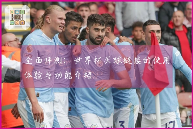 全面评测：世界杯买球链接的使用体验与功能介绍