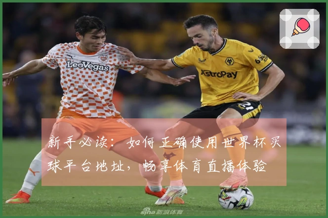 新手必读：如何正确使用世界杯买球平台地址，畅享体育直播体验