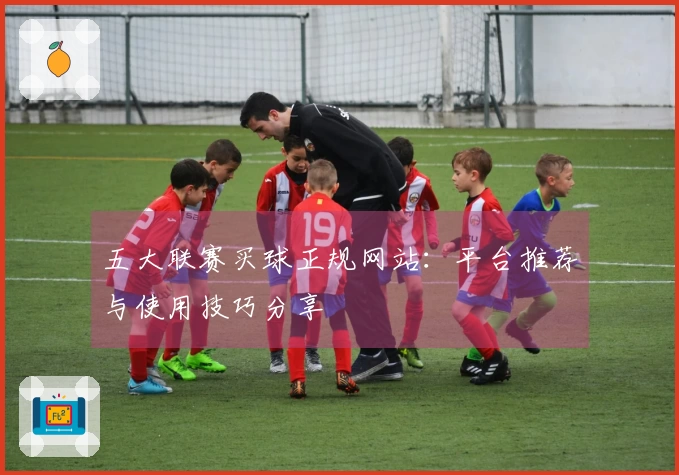 五大联赛买球正规网站：平台推荐与使用技巧分享