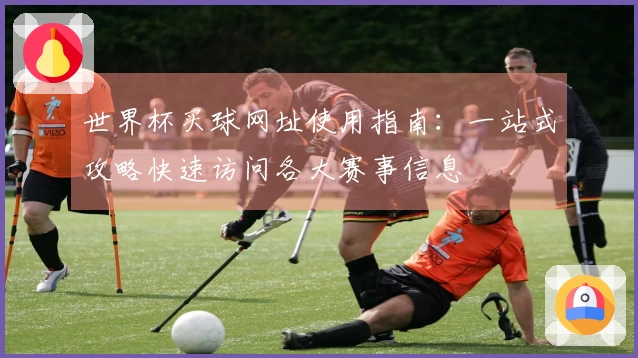 世界杯买球网址使用指南：一站式攻略快速访问各大赛事信息