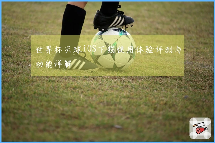 世界杯买球iOS下载使用体验评测与功能详解