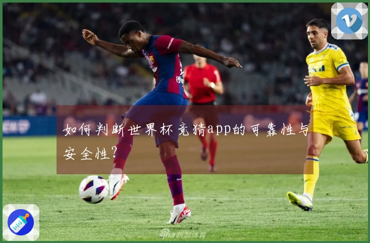 如何判断世界杯竞猜app的可靠性与安全性？