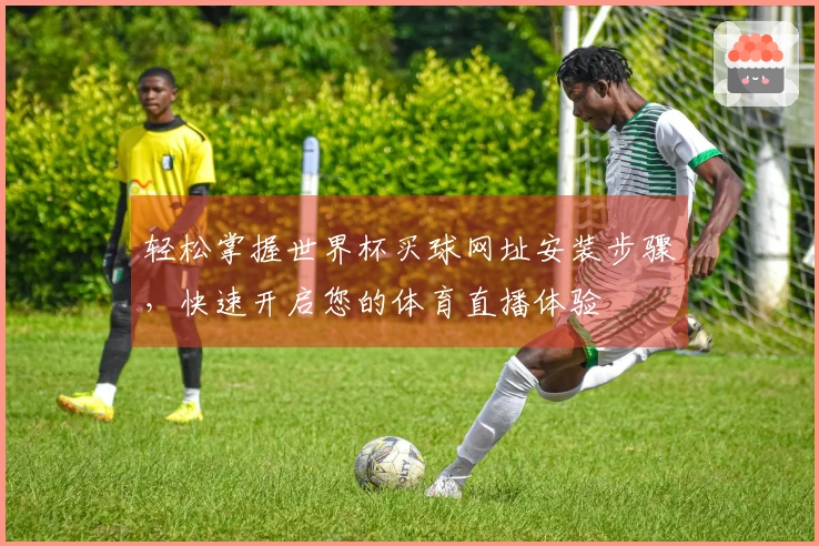 轻松掌握世界杯买球网址安装步骤，快速开启您的体育直播体验