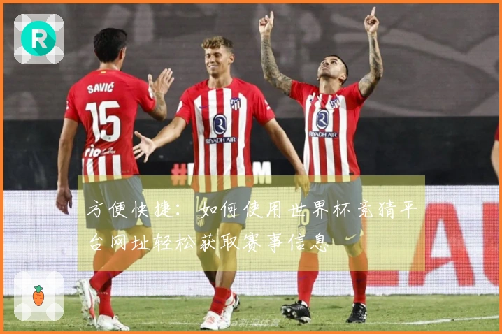 方便快捷：如何使用世界杯竞猜平台网址轻松获取赛事信息