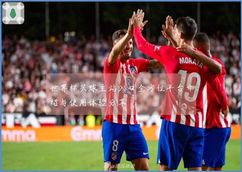 世界杯买球主站入口全方位平台介绍与使用体验分享