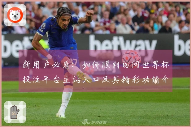 新用户必看：如何顺利访问世界杯投注平台主站入口及其精彩功能介绍