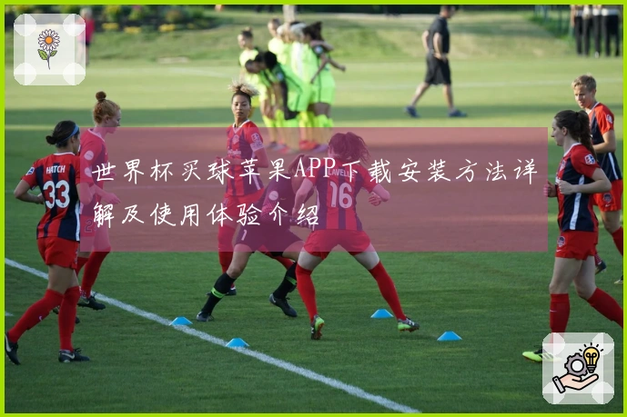 世界杯买球苹果APP下载安装方法详解及使用体验介绍