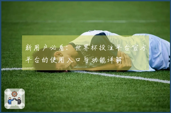新用户必看：世界杯投注平台官方平台的使用入口与功能详解