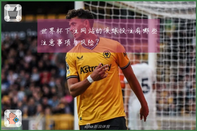 世界杯下注网站的滚球投注有哪些注意事项与风险？
