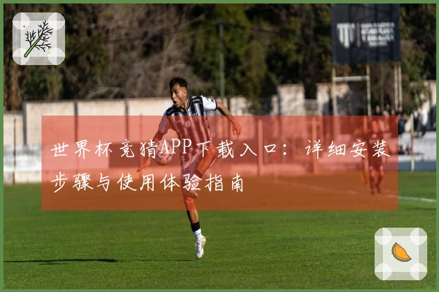 世界杯竞猜APP下载入口：详细安装步骤与使用体验指南