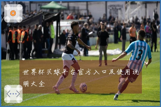 世界杯买球平台官方入口及使用说明大全
