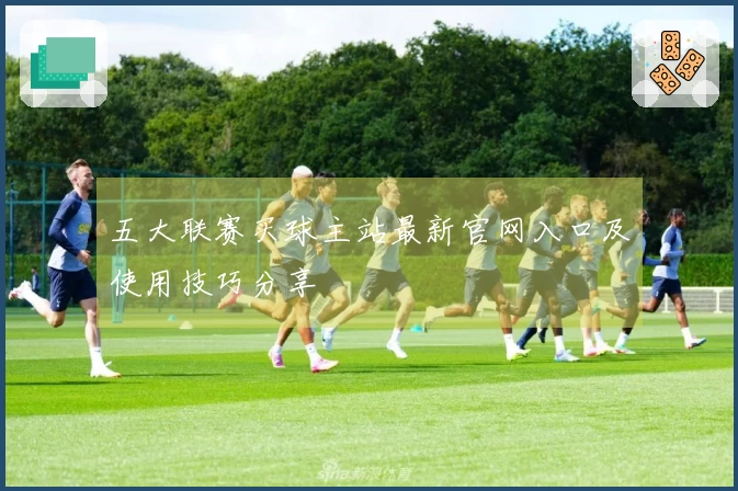 五大联赛买球主站最新官网入口及使用技巧分享