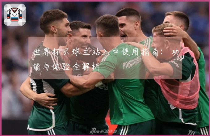 世界杯买球主站入口使用指南：功能与体验全解析